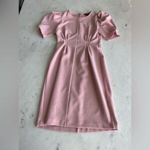 Express Pink Women's Dress XXS